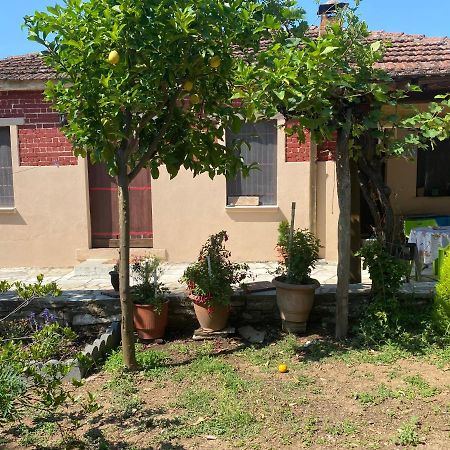 Tilemvi Seaside House Milina Pelion!!! Villa Koukouleika Luaran gambar