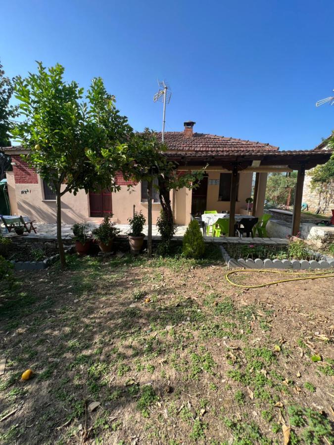 Tilemvi Seaside House Milina Pelion!!! Villa Koukouleika Luaran gambar